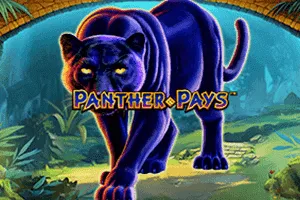 Panther Pays - LAVABET168