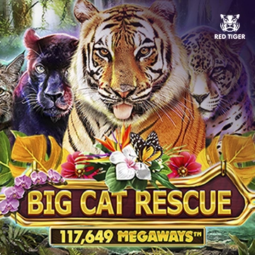 Big Cat Rescue Megaways - LAVABET168