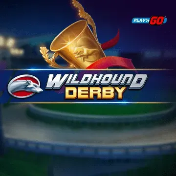 Wildhound Derby - LAVABET168