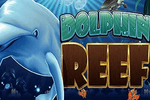 Dolphin Reef - LAVABET168