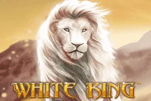 White King - LAVABET168