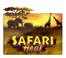 Joker123 : Safari Heat - LAVABET168