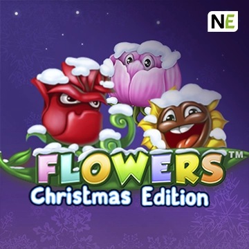 Flowers Christmas Edition - LAVABET168