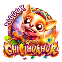Facai : CHILIHUAHUA - LAVABET168