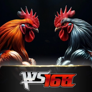 Ws168 Sabung - LAVABET168