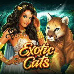 Exotic Cats - LAVABET168