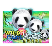 Joker123 : Wild Giant Panda - LAVABET168