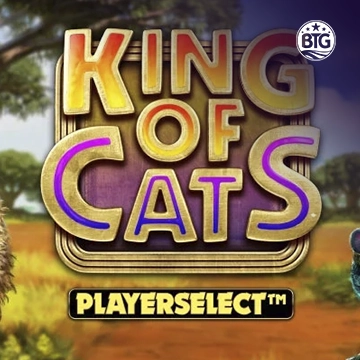 King of Cats - LAVABET168