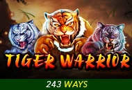 Tiger Warrior - LAVABET168