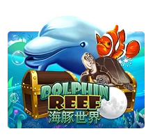 Joker123 : Dolphin Reef - LAVABET168