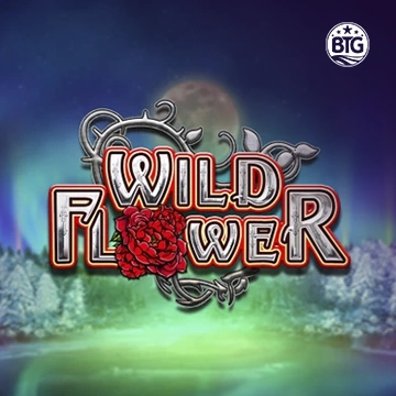 Wild Flower - LAVABET168