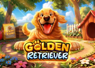 Pragmatic : Golden Retriever - LAVABET168
