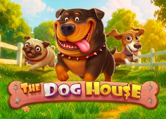 Pragmatic : The Dog House - LAVABET168