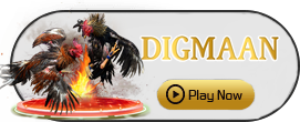 Digman - LAVABET168