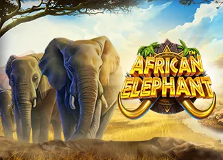 Pragmatic : African Elephant - LAVABET168